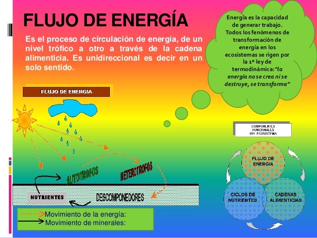 cadenas y tramas alimenticias y niveles troficos nos informamos sobre cadenas y redes tr 243 ficas cadenas y tramas alimenticias y niveles troficos nos informamos sobre cadenas y redes tr 243 ficas
