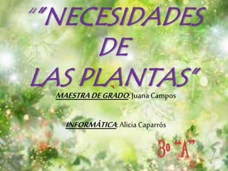 “”NECESIDADES 
DE 
LAS PLANTAS” 
MAESTRA DE GRADO: Juana Campos 
INFORMÁTICA: Alicia Caparrós 
 