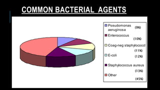 Pseudomonas
aeruginosa
Enterococcus
Coag-neg staphylococcl
E-coli
Staphylococcus aureus
Other
COMMON BACTERIAL AGENTS
(9%)
(10%)
(11%)
(12%)
(13%)
(45%)
 