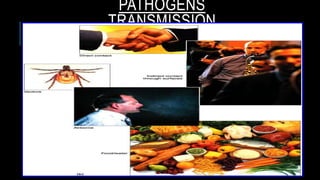 PATHOGENS
TRANSMISSION
 