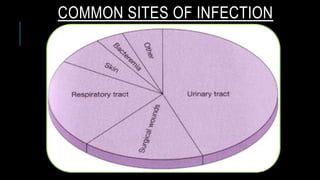 COMMON SITES OF INFECTION
 