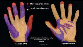 AREAS MOST FREQUENTLY MISSED
HAHS © 1999
 