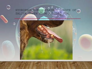 HYDROPHOBINUM (LYSSIN)- LYSATE OF
SALIVA TAKEN FROM A RABID DOG.
 