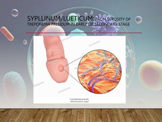 SYPLLINUM/LUETICUM: FROM SEROSITY OF
TREPONEMA PALLIDUM IN EARLY OR SECONDARY STAGE
 