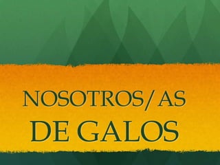 NOSOTROS/AS DE GALOS 