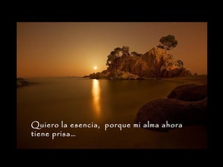 Quiero la esencia, porque mi alma ahora
tiene prisa…

 