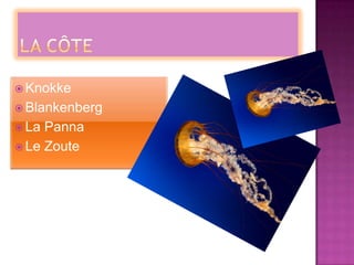 La CôteKnokkeBlankenbergLa PannaLe Zoute