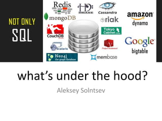  what’s under the hood? Aleksey Solntsev 