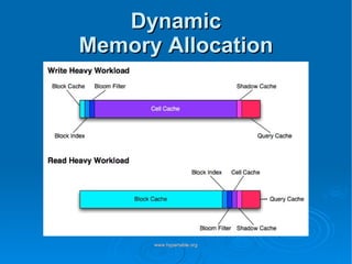 Dynamic Memory Allocation 