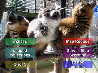 Comunicação entre os nós Gossip-Based Protocol 