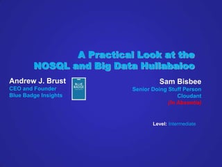 A Practical Look at the
        NOSQL and Big Data Hullabaloo
Andrew J. Brust                     Sam Bisbee
CEO and Founder           Senior Doing Stuff Person
Blue Badge Insights                        Cloudant
                                       (In Absentia)


                                 Level: Intermediate
 