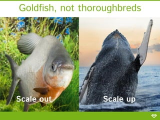 Goldfish, not thoroughbreds

Scale out

Scale up

 