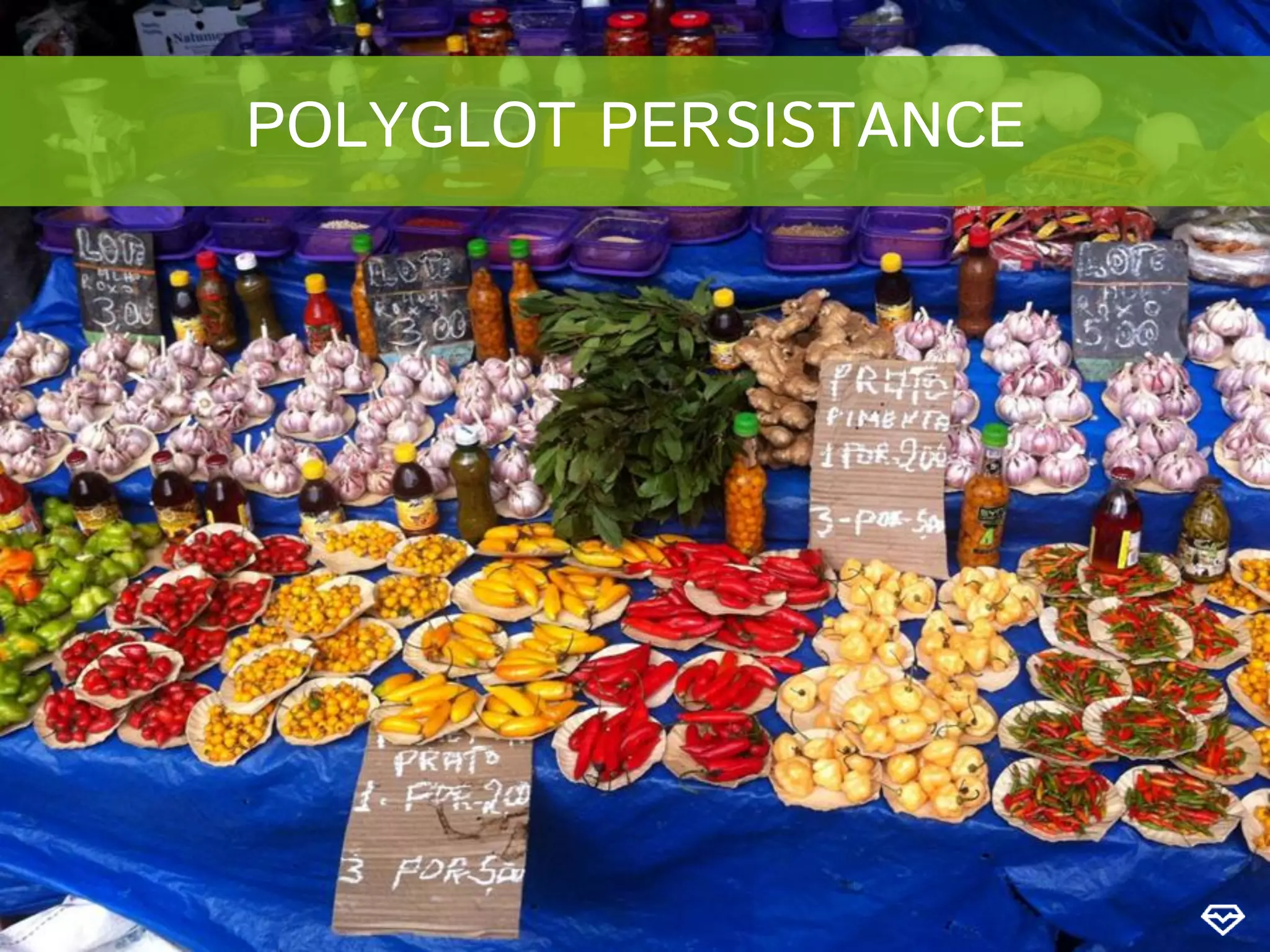 POLYGLOT PERSISTANCE
 
