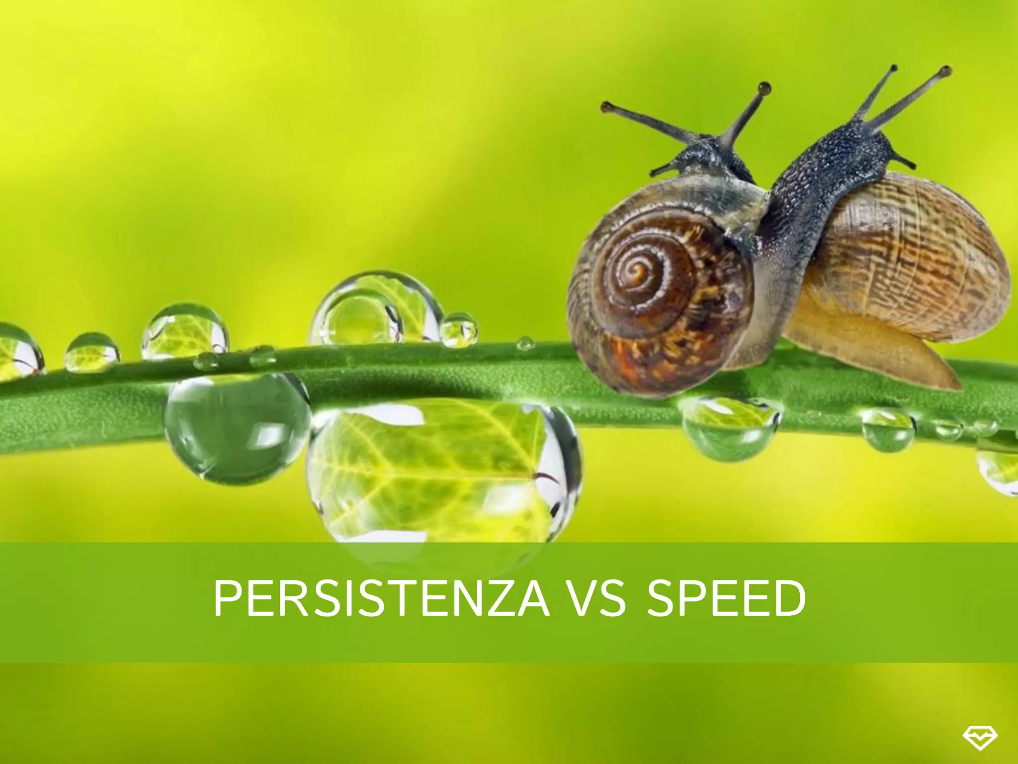 PERSISTENZA VS SPEED
 