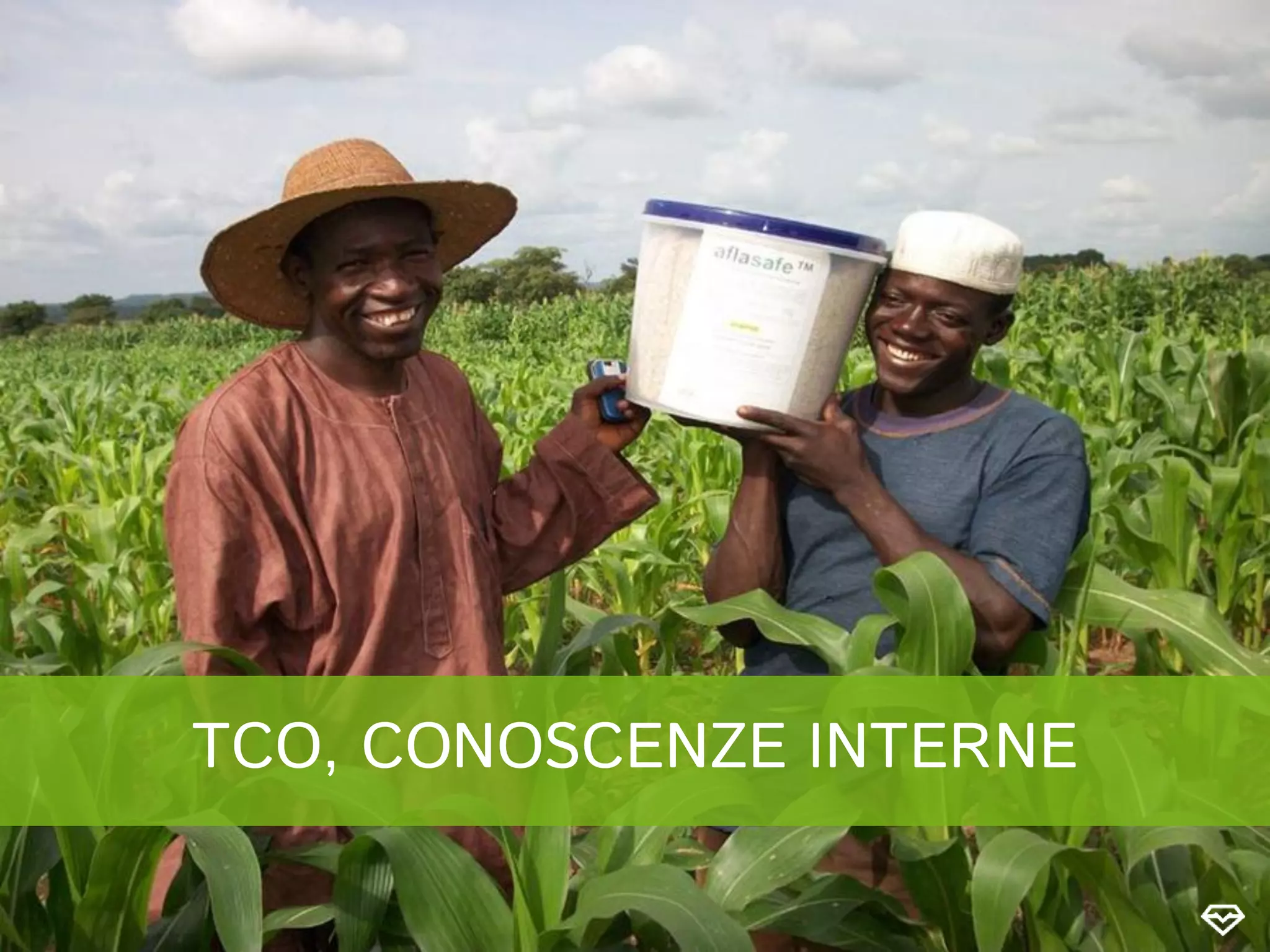 TCO, CONOSCENZE INTERNE
 