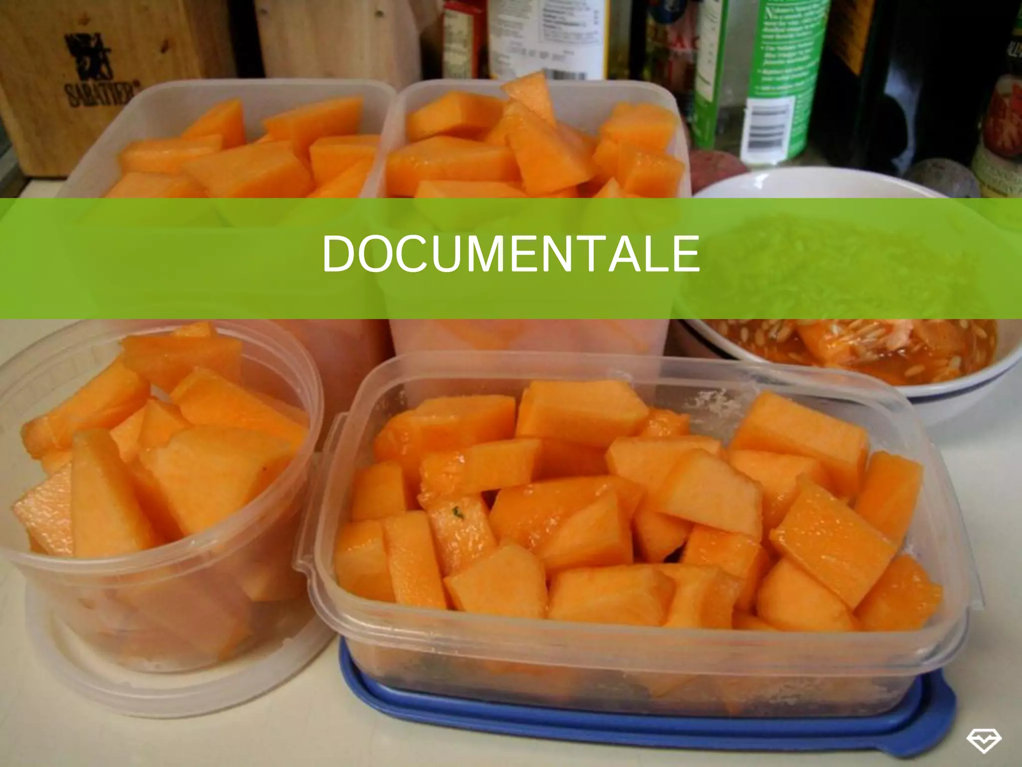 DOCUMENTALE
 