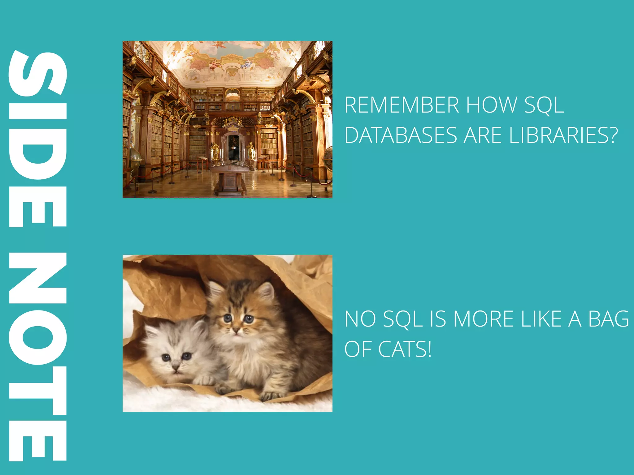 SIDENOTE
REMEMBER HOW SQL
DATABASES ARE LIBRARIES?
NO SQL IS MORE LIKE A BAG
OF CATS!
 