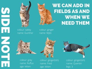 SIDENOTE
colour: tabby
name: Gunther
colour: ginger
name: Mylo
colour: grey
name: Ruﬀus
age: kitten
colour: ginger(ish)
name: Fred
age: kitten
colour: ginger(ish)
name: Quentin
legs: 3
WE CAN ADD IN
FIELDS AS AND
WHEN WE
NEED THEM
 