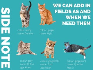 SIDENOTE
colour: tabby
name: Gunther
colour: ginger
name: Mylo
colour: grey
name: Ruﬀus
age: kitten
colour: ginger(ish)
na...