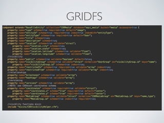 GRIDFS
 