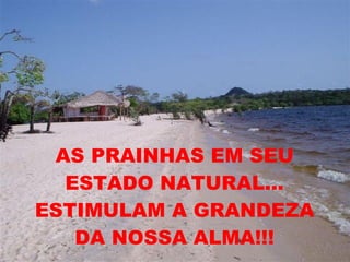 AS PRAINHAS EM SEU ESTADO NATURAL... ESTIMULAM A GRANDEZA DA NOSSA ALMA!!! 