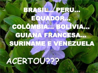 BRASIL... PERU... EQUADOR...  COLÔMBIA... BOLÍVIA...  GUIANA FRANCESA...  SURINAME E VENEZUELA ACERTOU??? 