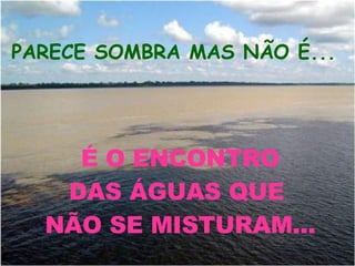 É O ENCONTRO DAS ÁGUAS QUE  NÃO SE MISTURAM... PARECE SOMBRA MAS NÃO É... 
