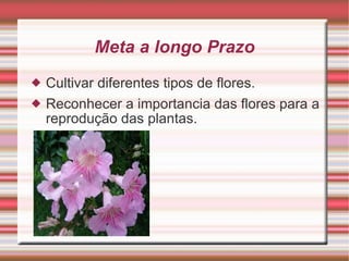 Meta a longo Prazo Cultivar diferentes tipos de flores. Reconhecer a importancia das flores para a reprodução das plantas. 