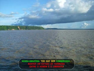 NOSSA AMAZÔNIA  TEM  QUE  SER  CONSERVADA ... MANTER  UM  ESTADO  DE  HARMONIA  ENTRE  O  HOMEM  E  O  AMBIENTE ! 