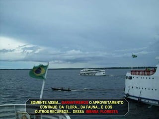 SOMENTE ASSIM...   GARANTIREMOS   O APROVEITAMENTO CONTÍNUO  DA  FLORA... DA FAUNA... E  DOS   OUTROS RECURSOS...  DESSA   IMENSA  FLORESTA ! 