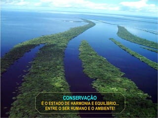 CONSERVAÇÃO  É O ESTADO DE HARMONIA E EQUILÍBRIO... ENTRE O SER HUMANO E O AMBIENTE! 