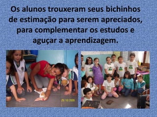 Os alunos trouxeram seus bichinhosde estimação para serem apreciados,  para complementar os estudos e aguçar a aprendizagem.