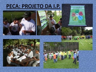 PECA: PROJETO DA I.P.
