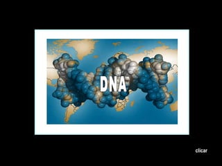 DNA clicar 