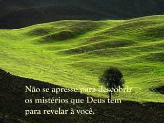 Não se apresse para descobrir
os mistérios que Deus tem
para revelar à você.
 