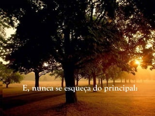 E, nunca se esqueça do principal:
 