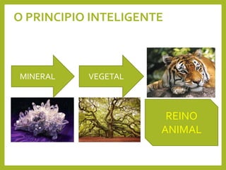 O PRINCIPIO INTELIGENTE
MINERAL VEGETAL
REINO
ANIMAL
 