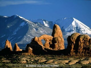 DA MINHA VIDA DO MEU DESTINO