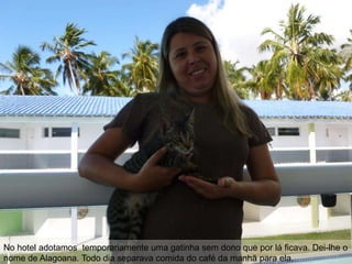 No hotel adotamos temporariamente uma gatinha sem dono que por lá ficava. Dei-lhe o
nome de Alagoana. Todo dia separava comida do café da manhã para ela.
 