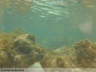 É surreal de tão lindo!
 