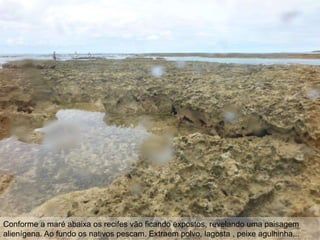 Conforme a maré abaixa os recifes vão ficando expostos, revelando uma paisagem
alienígena. Ao fundo os nativos pescam. Extraem polvo, lagosta , peixe agulhinha...
 