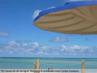 Por causa da cor da água, Maragogi é conhecida como Caribe brasileiro
 