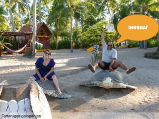 Ihhhha!




Tartarugas galopantes
 