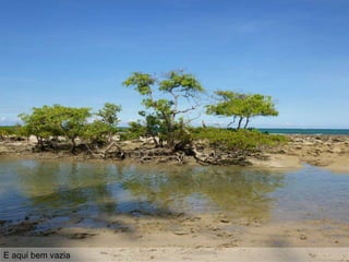 E as belezas naturais: uma praia linda que se transforma conforme a maré. Aqui a maré
está um pouco alta.
E aqui bem vazia
 
