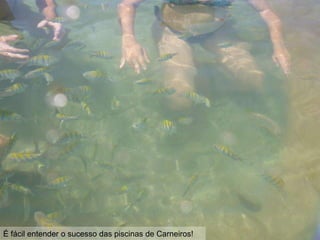 É fácil entender o sucesso das piscinas de Carneiros!
 
