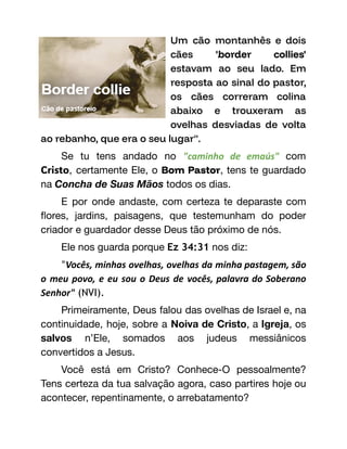 Um cão montanhês e dois
cães 'border collies'
estavam ao seu lado. Em
resposta ao sinal do pastor,
os cães correram colina
abaixo e trouxeram as
ovelhas desviadas de volta
ao rebanho, que era o seu lugar".
Se tu tens andado no "caminho de emaús" com
Cristo, certamente Ele, o Bom Pastor, tens te guardado
na Concha de Suas Mãos todos os dias.
E por onde andaste, com certeza te deparaste com
flores, jardins, paisagens, que testemunham do poder
criador e guardador desse Deus tão próximo de nós.
Ele nos guarda porque Ez 34:31 nos diz:
"Vocês, minhas ovelhas, ovelhas da minha pastagem, são
o meu povo, e eu sou o Deus de vocês, palavra do Soberano
Senhor" (NVI).
Primeiramente, Deus falou das ovelhas de Israel e, na
continuidade, hoje, sobre a Noiva de Cristo, a Igreja, os
salvos n’Ele, somados aos judeus messiânicos
convertidos a Jesus.
Você está em Cristo? Conhece-O pessoalmente?
Tens certeza da tua salvação agora, caso partires hoje ou
acontecer, repentinamente, o arrebatamento?
 
