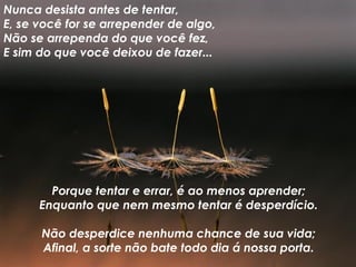 Nunca desista antes de tentar, E, se você for se arrepender de algo, Não se arrependa do que você fez, E sim do que você deixou de fazer... Porque tentar e errar, é ao menos aprender; Enquanto que nem mesmo tentar é desperdício. Não desperdice nenhuma chance de sua vida; Afinal, a sorte não bate todo dia á nossa porta. 