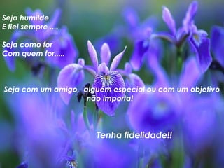 Seja humilde E fiel sempre .... Seja como for Com quem for..... Seja com um amigo,  alguém especial ou com um objetivo não importa!  Tenha fidelidade!! 