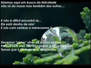 Estamos aqui em busca da felicidade não só da nossa mas também dos outros.... E não é difícil encontrá-la... Ela está dentro de nós! E nós com certeza a merecemos !! Devemos "correr" atrás de nossos sonhos; Porque sem eles não chegamos a lugar nenhum; Temos que ir atrás do que desejamos. 