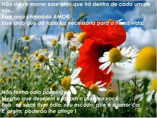 Estamos aqui em busca da felicidade não só da nossa mas também dos outros.... E não é difícil encontrá-la Ela está dentro de nós! E nós com certeza a merecemos !! Devemos "correr" atrás de nossos sonhos Porque sem eles não chegamos a lugar nenhum Temos que ir atrás do que desejamos Não deixe morrer esse anjo que há dentro de cada um de nós... Esse anjo chamado AMOR; Esse anjo que dá toda luz necessária para a nossa vida. Não tenha ódio por ninguém, Mesmo que desejem e façam o pior pra você; Pois , se você tiver ódio, seu escudo, que é o amor cai E, aí sim, poderão lhe atingir ! 